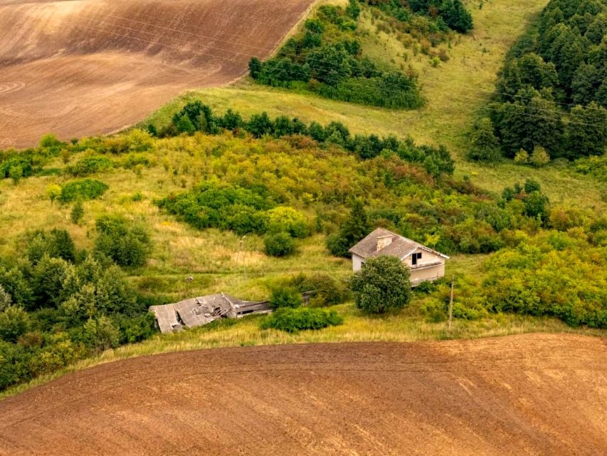 Zdjęcie 2