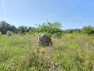 Działka budowlana Bieńki-Śmietanki
