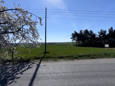 Działka budowlana Chojęcin