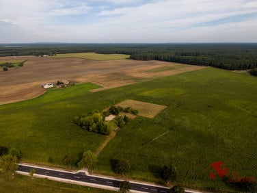 Działka Brzekiniec