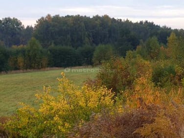 Działka inwestycyjna Swarzędz