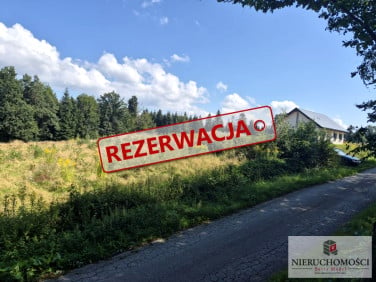 Działka Kipszna
