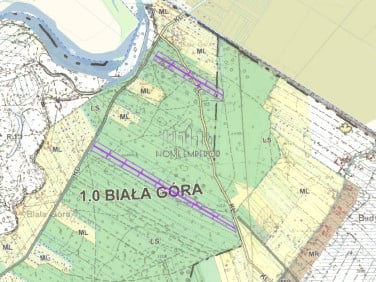 Działka leśna Biała Góra
