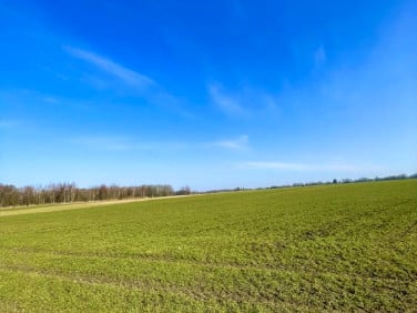 Działka rolna Trzebiatów