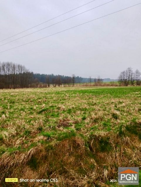 Zdjęcie 2