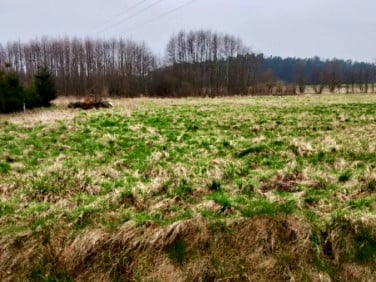 Działka nad rzeką
