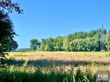 Działka nad morzem