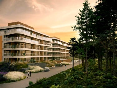 Lokal Międzyzdroje