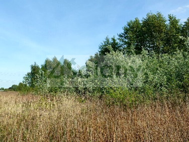 Działka budowlana Wolica