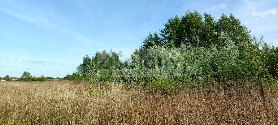 Działka budowlana Wolica