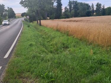 Działka Kleszewo
