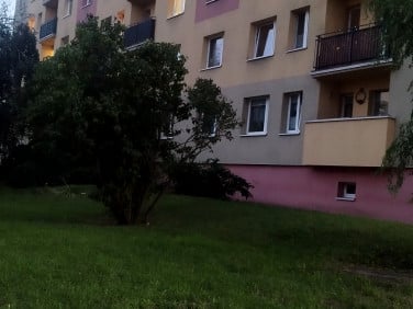 Mieszkanie Chojnów