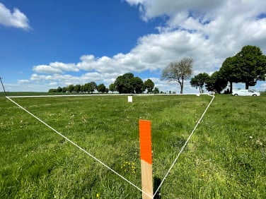 Działka budowlana Bełcząc