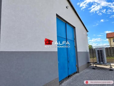 Lokal Świdnica