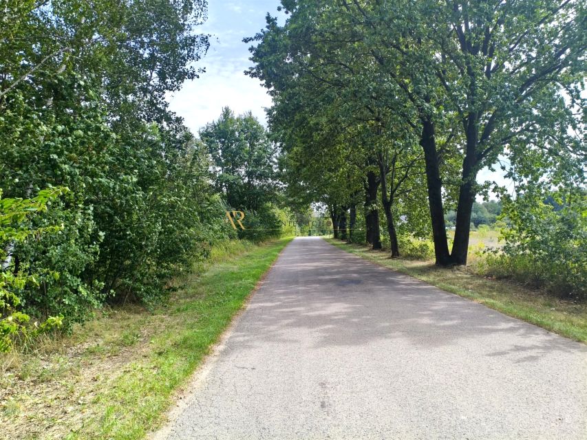 Zdjęcie 3