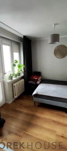 Zdjęcie 2