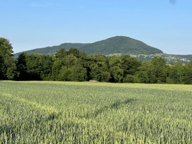 Działka Glichów