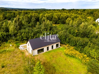 Dom wolnostojący sprzedaż