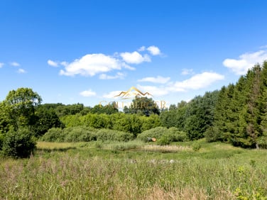 Działka Wierzchowo