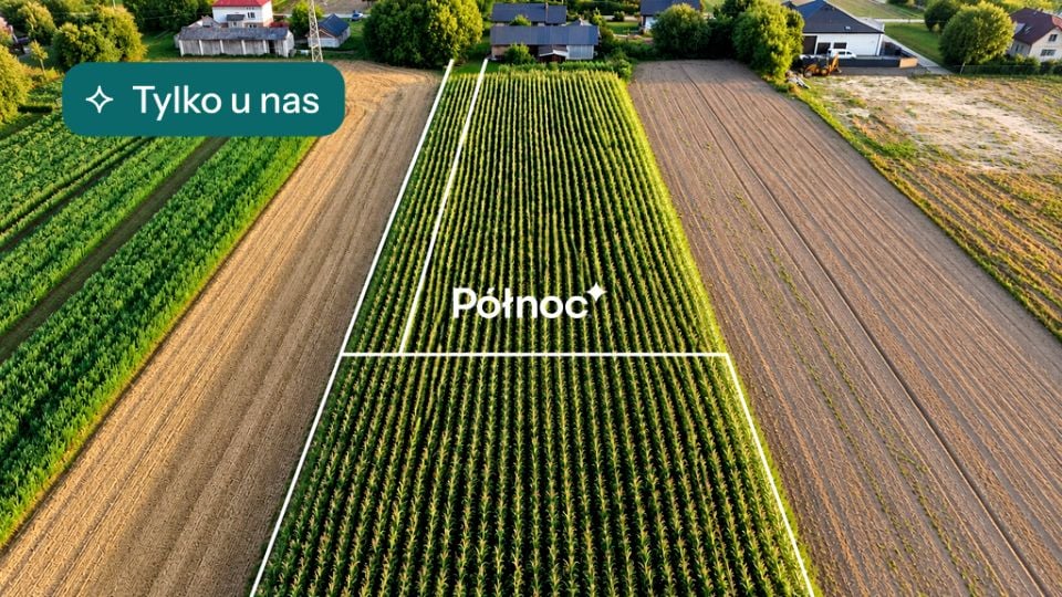 Zdjęcie 3