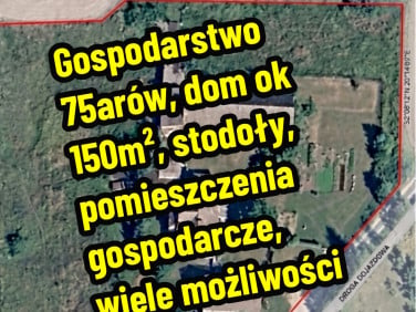 Dom Lipinki