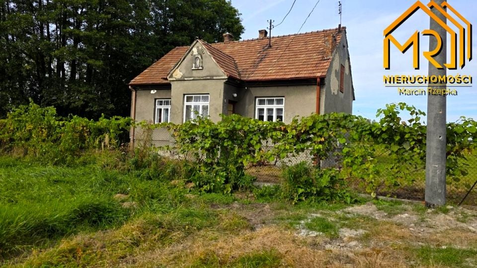 Zdjęcie 2