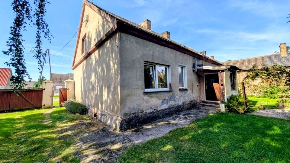 Zdjęcie 3