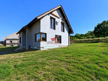 Dom Wilków