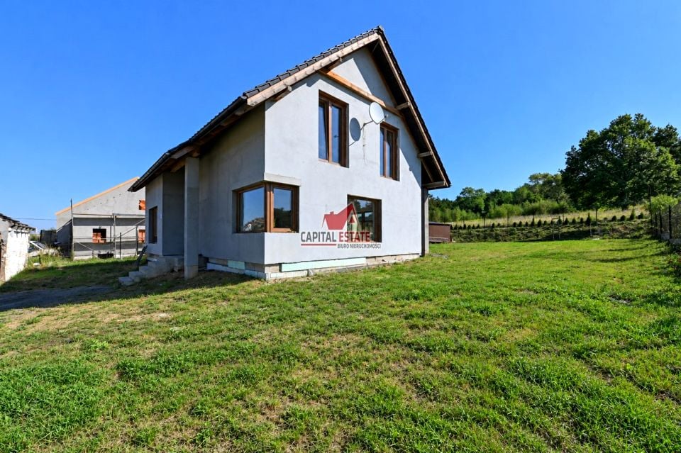 Dom Wilków