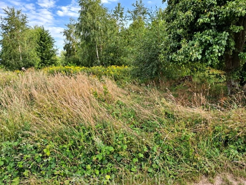 Działka Lipnik