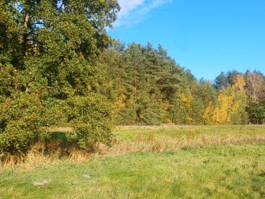 Działka Warka