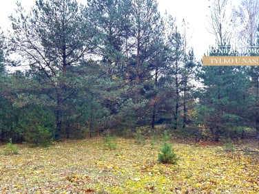 Działka rekreacyjna Radogoszcz