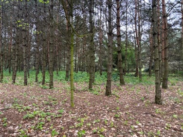 Działka budowlana Bystrzyca