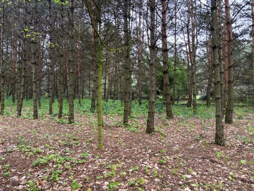 Działka budowlana Bystrzyca