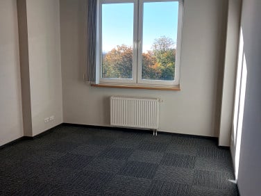 Lokal Szczecin