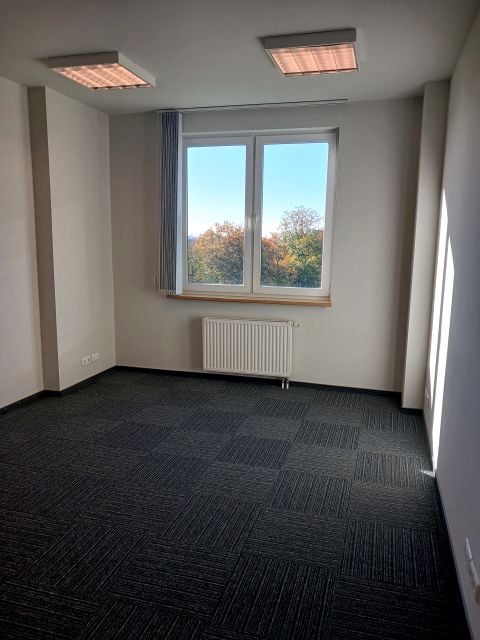 Lokal Szczecin