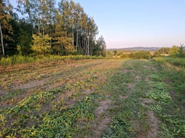 Działka budowlana Grabiny
