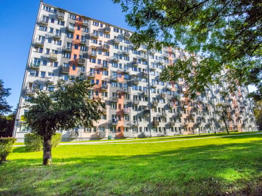 Mieszkanie Kielce