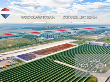 Działka Osła