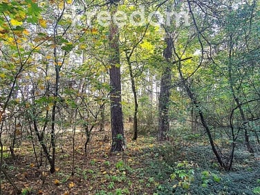 Działka rolna Rudniki