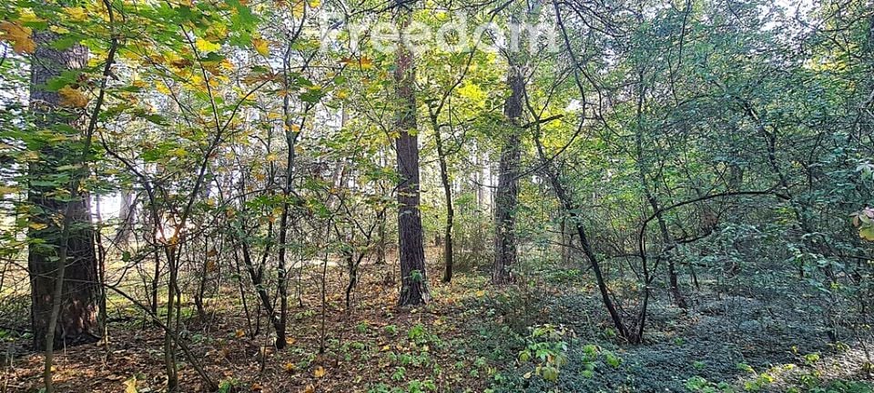 Działka rolna Rudniki