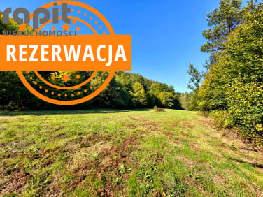 Działka Stróża