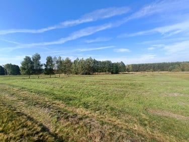 Działka budowlana Głogów Małopolski