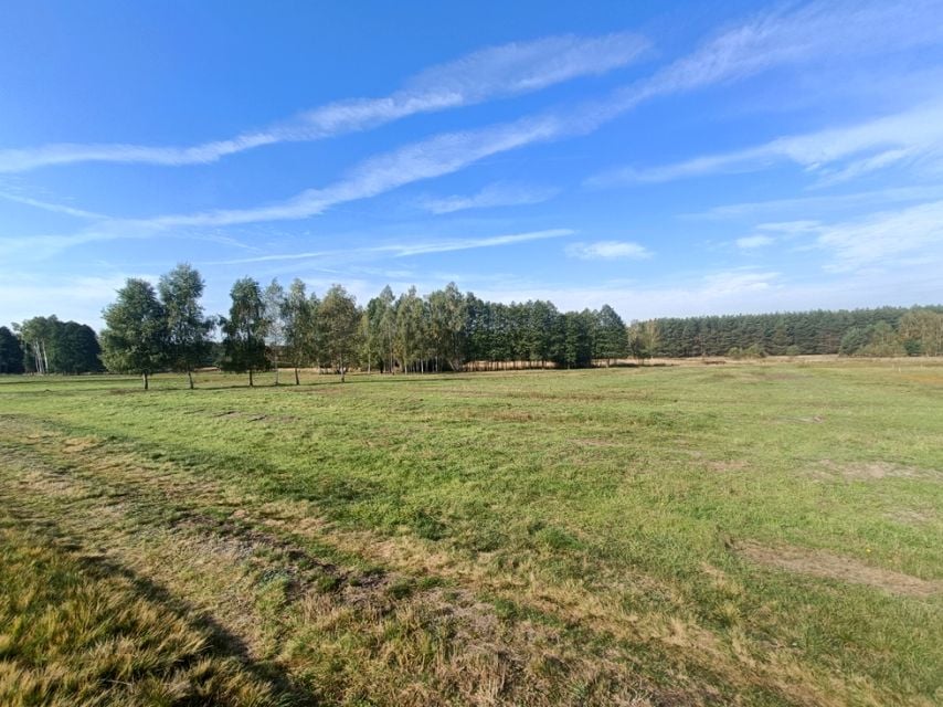Działka budowlana Głogów Małopolski