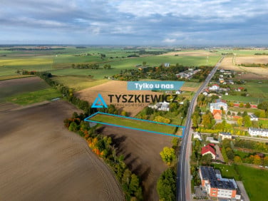 Działka usługowa Silno