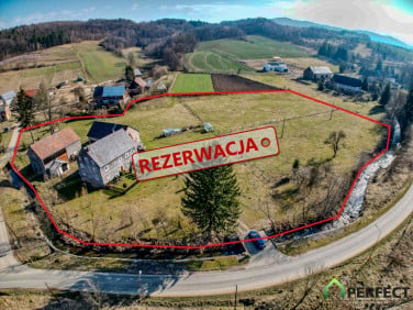 Dom Czernica