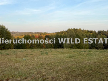 Działka budowlana Bereźnica Wyżna