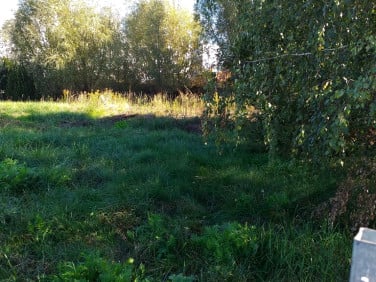 Działka przemysłowa Święcice sprzedam