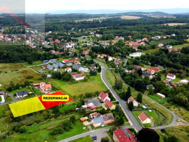 Działka Olszyna
