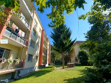 Mieszkanie Kielce